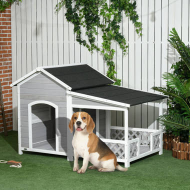 Dog door for clearance igloo dog house